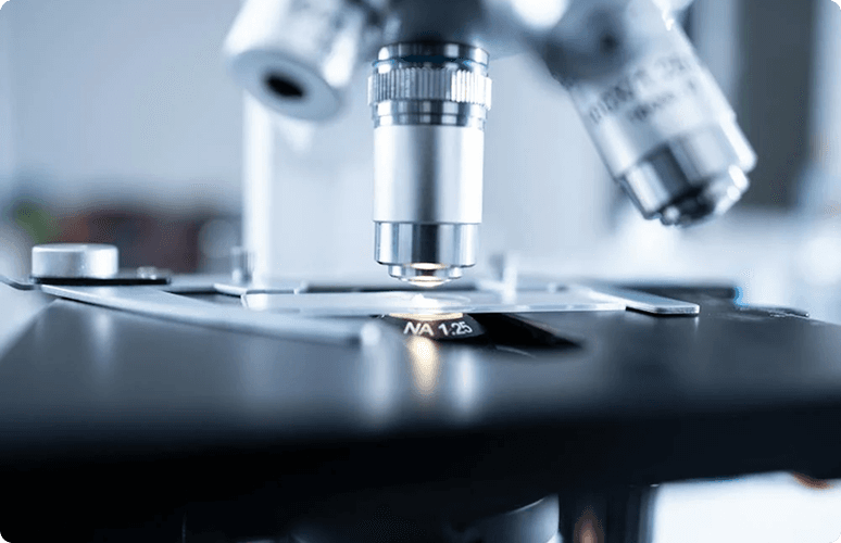 The Science of Longevity